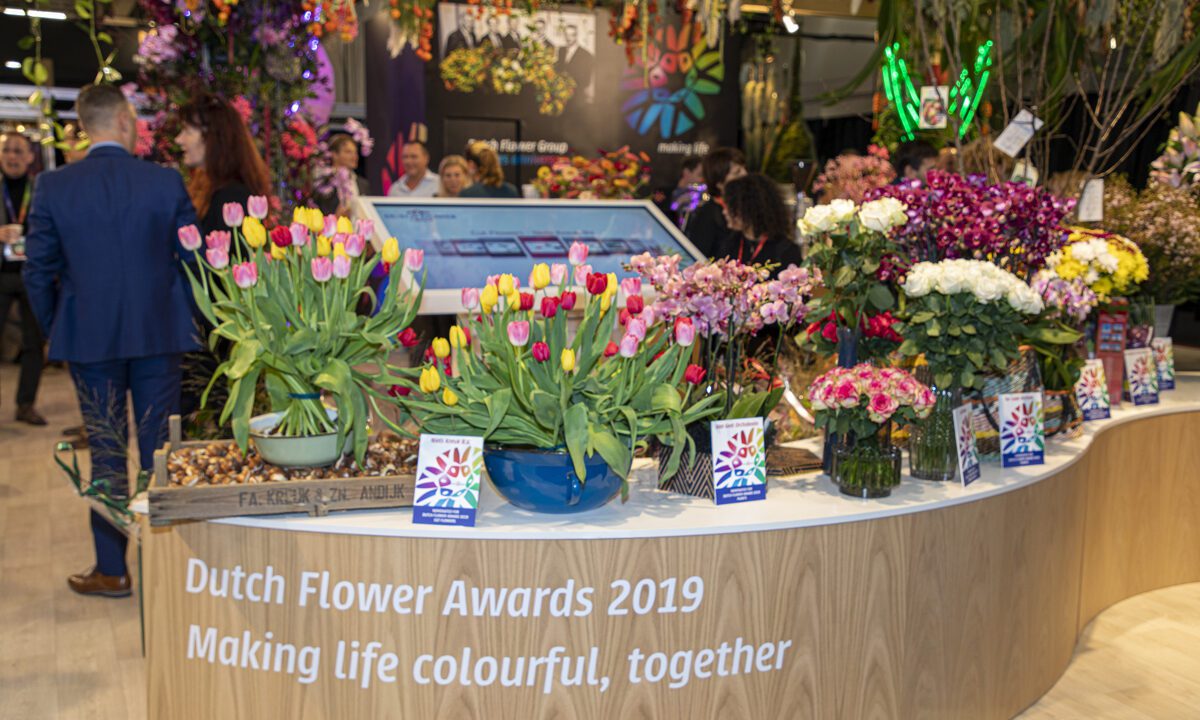 Nominations Dutch Flower Awards 2021 announced