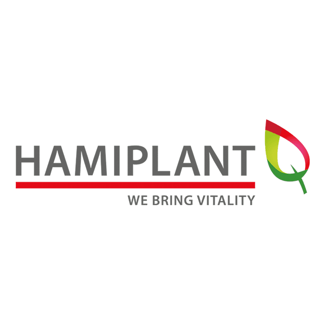 About Hamiplant