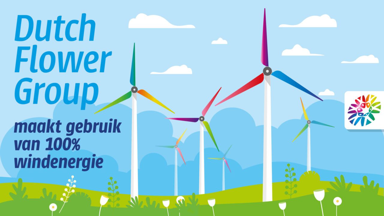 Dutch Flower Group persbericht windenergie NL