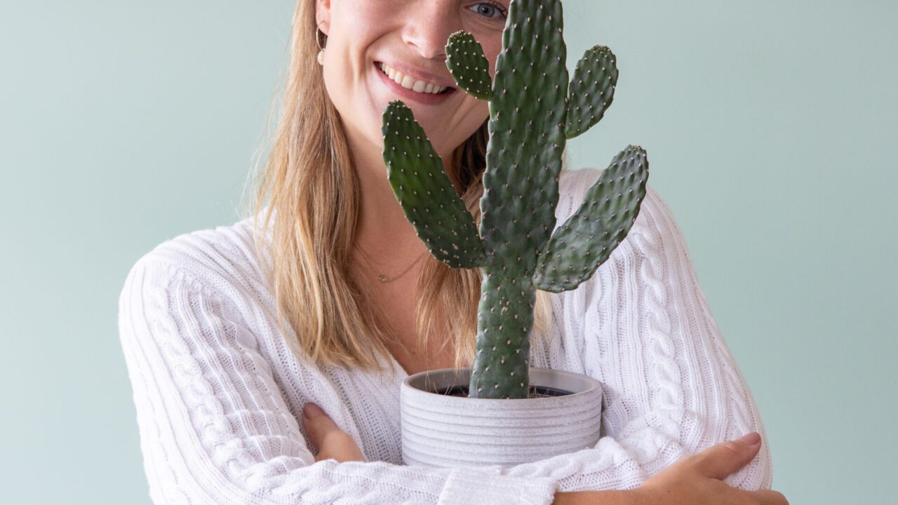 P0206-Puntia-rubescens-consolea-cactus-[HR]-19