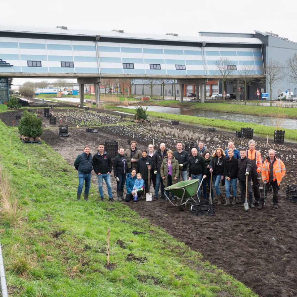 PLANTING OF THE VBA ZUID BEE PARK