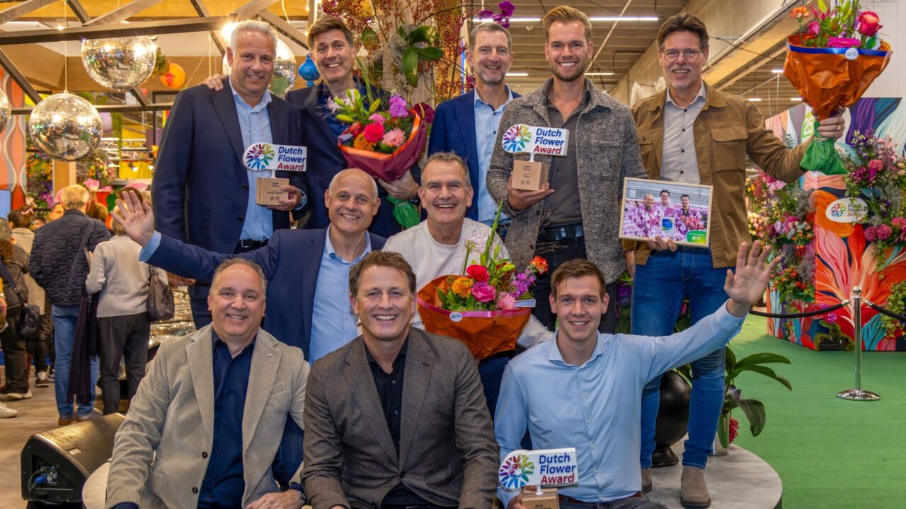 Pico Bello Hortensia, Opti-flor en Afriflora winnaars van de Dutch Flower Awards 2024