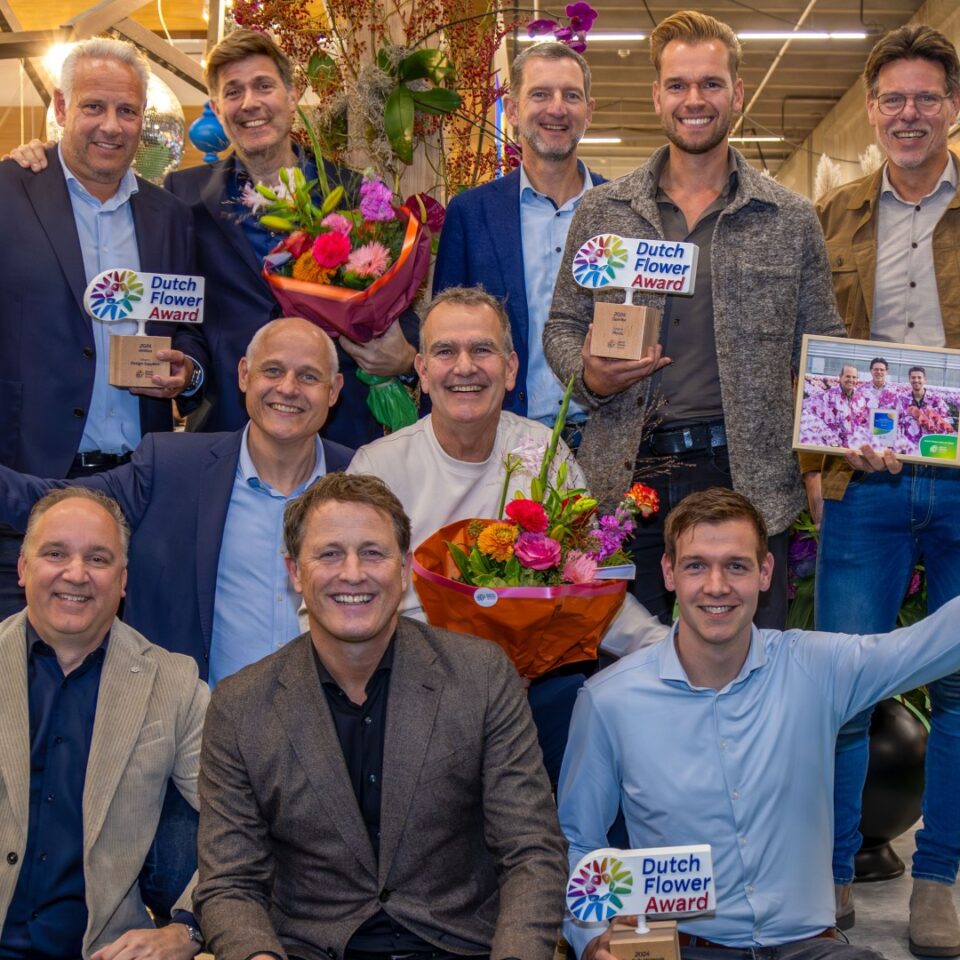 Pico Bello Hortensia, Opti-flor en Afriflora winnaars van de Dutch Flower Awards 2024