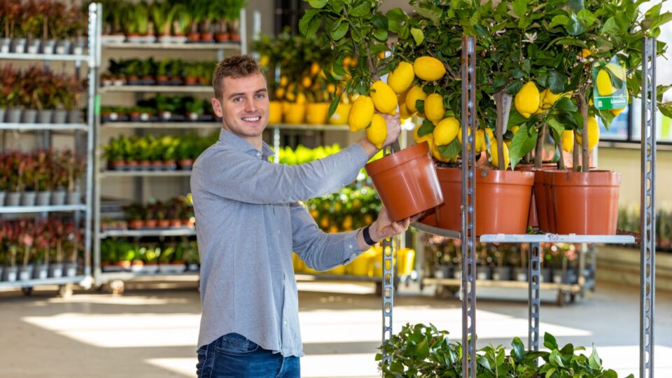 fotomel bedrijven 2024