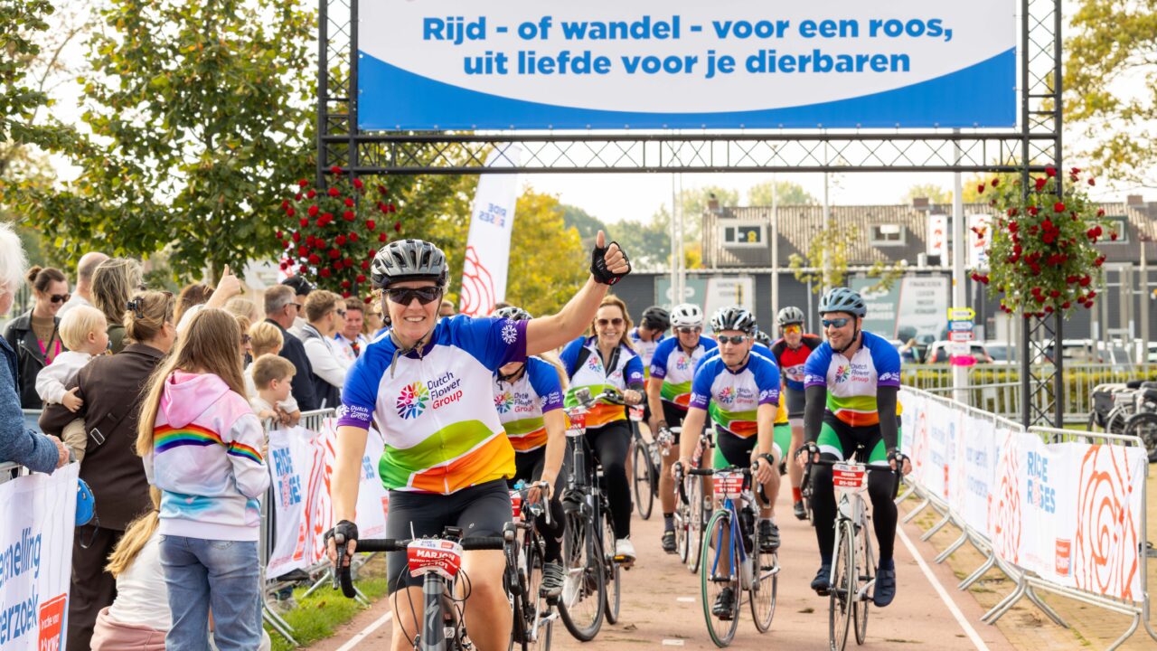 Fiets of wandel mee met Ride for the Roses 2026