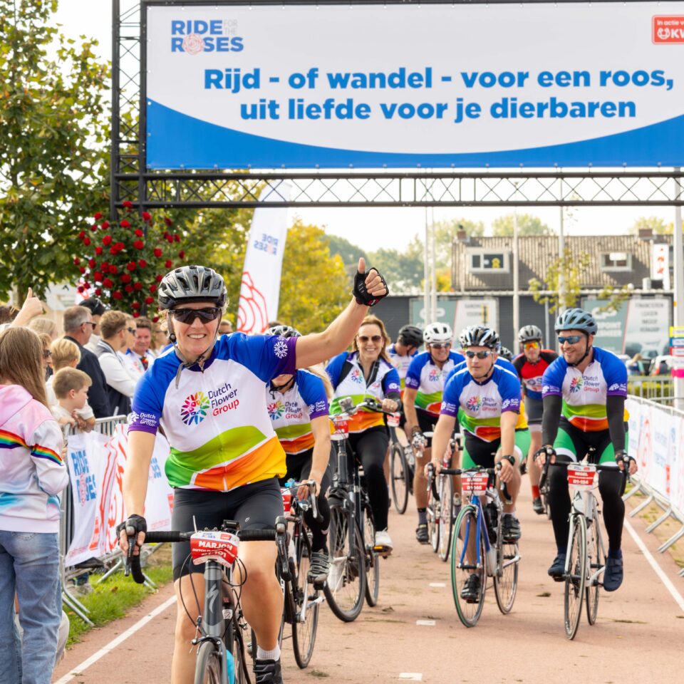 Meer nieuwsberichten