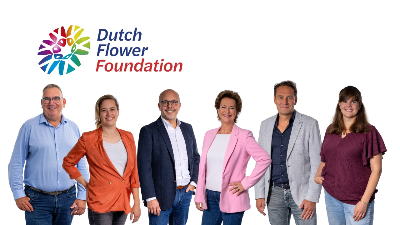 sustainability-dff